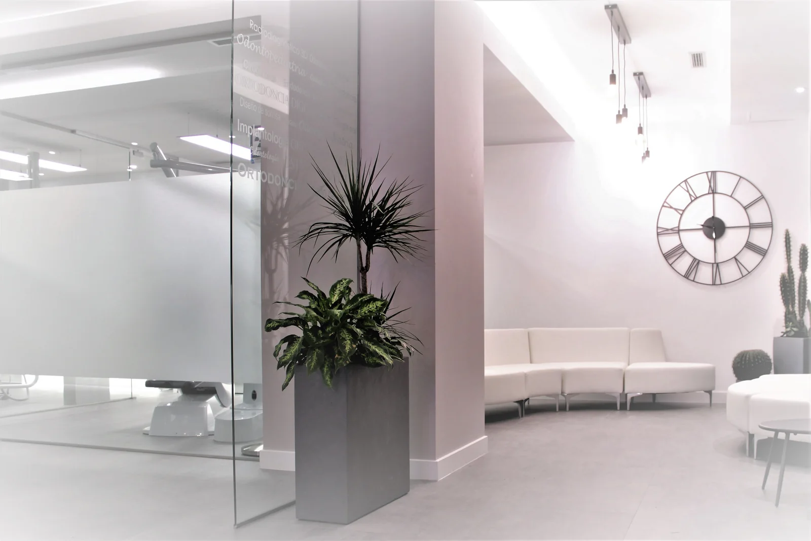 Zona de espera luminosa de Orthocare dental en Boadilla